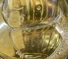 Starbucks Vanilla Syrup Exp June 2025