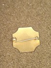 Wwii American Red Cross Licensed Vocational Nurse Pin