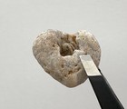 Natural Holey     Beach Rock Hag Fairy Heart Stone Love Mystic Adder Valentine Usa