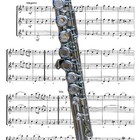 New Engraved Millbrook Silver Concert Closed Holed Flute 
