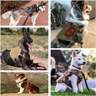 Tactical Dog Harness With Handle No-pull Large Military Dog Vest Us Working Dog