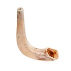 Plastic Shofar Horn Rosh Hashanah Jewish New Year Holiday Party Favors Shana