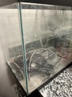 Aqueon Aquarium 20 Gallon Fish Tank Used Good Condition    With Lid And Filters