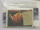 Latvia Lot Of Fdc  Stamps Etc Open For Photos Mnh  2009 
