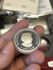 2006 Royal Canadian Mint  5 99 99  Fine Silver Pink Enamel-effect Coin 