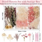 Real Dried Flowers 100  Natural Dried Flowers  Mixed Colors Dried Leaf Flowers F