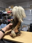 Vintage Nyform Norway Troll Art 112 Large Figure W  Staff Original Tag 16  Tall