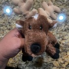 Ganz Webkinz Reindeer Moose Plush Stuffed Animal Brown Soft Toy Hm137 No Code