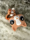 Littlest Pet Shop Lps  2095 Tokyo Cat Blue Eyes Rare Special Edition Collect
