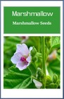 Marshmallow Seeds    Non-gmo   Heirloom   Fresh Garden Seeds