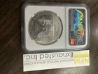2017 American Silver Eagle  1 Ngc Ms 70 Brown Label