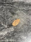 Pressed Penny Elongated - Disney Magic Kingdom Castle  Free Shipping 
