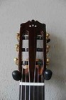 Brand New Cordoba C12 Nylon String Spruce Top Classical Guitar