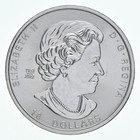 2023 Canada 10 Dollars Silver Maple Leaf Twin Maples 2 Oz Silver
