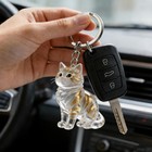 Cat Hair Storage Keychain Bag Pendant Transparent Pet Fur Keepsake Keychain