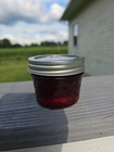 Homemade Wild  Grape Jelly  4 Ounces 