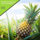 Sun Dried Pineapple Chunks Sweetened  tropical Fruit Snack  Kosher   Bulk Fresh