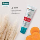 Himalaya Lip Balm  10 Grams  White Pack Of 12
