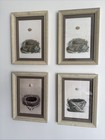 Restoration Hardware Baby And Child Bird Nest Egg Framed Shadowbox Art Set