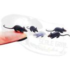 Miniature Rats - 1 12 Scale  set Of 5  Artisan Dollhouse Miniatures