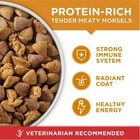 Purina One Adult Dog Food Chicken Rice High Protein Dry Food 4 Lb Bag