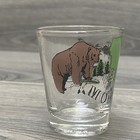 Montana State Bear Elk Shot Glass Whiskey Shot Glass Souvenir