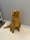 Melissa   Doug 32    Large Golden Retriever Life-size Stuffed Plush Dog Lifelike