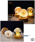 Dandelion Preserved Flower Crystal Ball Bedside Night Light Lamp