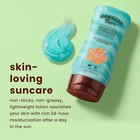 Hawaiian Tropic Weightless Hydration 6 Fl Oz  pack Of 2   Silk