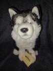 Signature Siberian Husky Webkinz Plush New With Tag Wonderful Condition