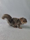 4840 Hansa Gray Squirrel Realistic Plush Stuffed Animal P135