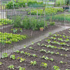 36 48 x50 100ft Hardware Cloth 1 2   Welded Wire Galvanized Mesh Fence Roll