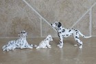 Retired Lot Schleich 16319 16346 16348 Dalmatian Lying Puppy Male Spotted Dogs