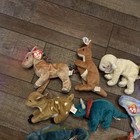 Ty Beanie Babys Bears Lot Of 10 All With Tags - Animals Great Condition  Ty7