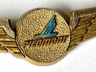 Vintage Piedmont Airlines Pin Plastic Wings Flight Attendant Plane Badge