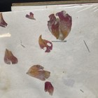 Handmade Paper Craft Scrapbook Paper Textured 1 5 Pounds 8 5x11