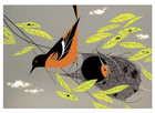 Charley Harper  Birds  A Book Of Postcards  books Of Postcards 