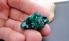 Gorgeous Rare Ntola Mine  Congo Africa Emerald Green Dioptase Crystal Specimen