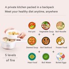 Drizzle Electric Hot Pot Cooker 1 8l Nonstick Steamer Portable For Noodles Eggs