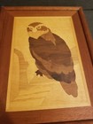  Marquetry   American Craftman Wood Inlay Owl Picture With Frame 