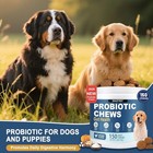Probiotics For Dogs  Dog Probiotics Chews For Digestive Health   Gut Health     