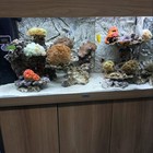 Upgraded Aquarium Led Light 36-48 Inch Multi-color Freshwater Decorations