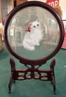 Antique Hand Embroidered White Cat On Silk Asian Art