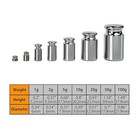 Calibration Weight Set - 1g 2g 5g 10g 20g 50g 100g  With Tweezer M2 Class