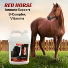 Red Horse Health Liquid Vitamin-iron-mineral Supplement For Horses 1 Gallon