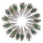 24 Pcs Real Natural Peacock Eye Feathers 10-12 Inch For Diy Craft  Wedding And H