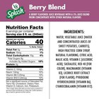 Berry Blend Flavored Juice Drink 64 Oz Bottle Refreshing Beverage Family Size