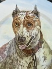 Rare Antique Staffordshire Pit Bull Terrier Dog Plate 1900s G Pedersen Cauldon 6