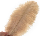Champagne Ostrich Feathers Bulk - 24pcs 10-12inch Boho Feathers For Vase And Hom