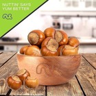 Nut Cravings - Premium Raw Hazelnuts Filberts With Skin  In Shell  32 Oz  2lb 
